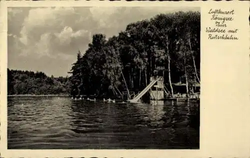 Ak Königsee in Thüringen, Waldsee mit Rutschbahn