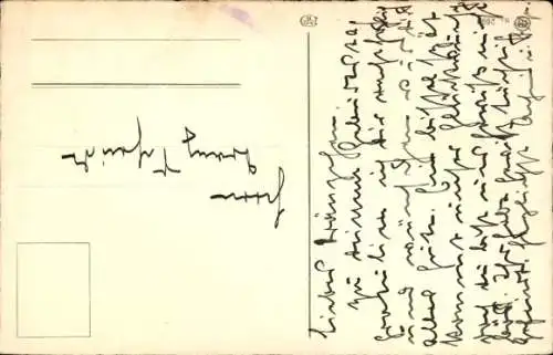 Ak Zwischen zwei Feuern, Katze, Kaktus, Biene