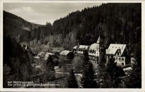 Ak Międzygórze Wölfelsgrund Schlesien, Sanatorium