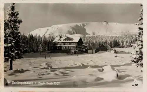 Ak Karpacz Krummhübel Riesengebirge Schlesien, Schlingelbaude, Schronisko na Starej Polanie