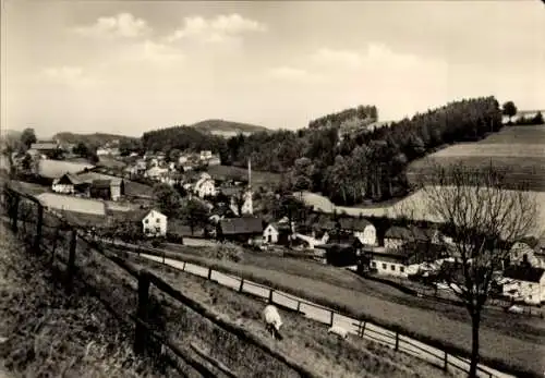 Ak Hallbach Olbernhau im Erzgebirge Sachsen, Panorama