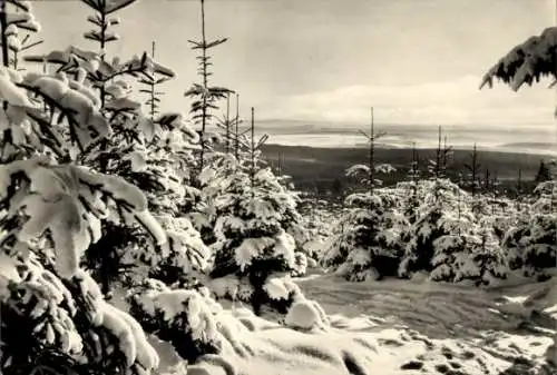 Ak Königshütte Elbingerode Oberharz am Brocken, Panorama, Winter