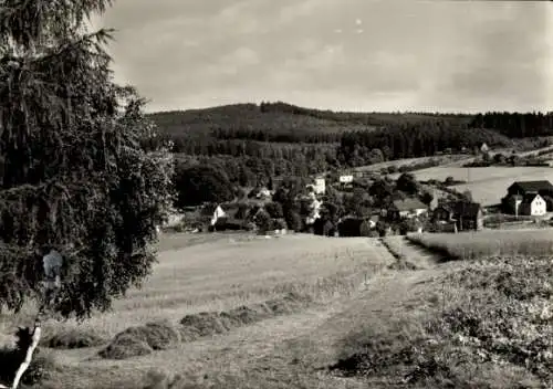 Ak Hohendorf Bad Brambach im Vogtland, Panorama