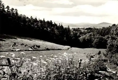 Ak Herrnhut in der Oberlausitz Sachsen, Panorama, Lausitzer Bergland