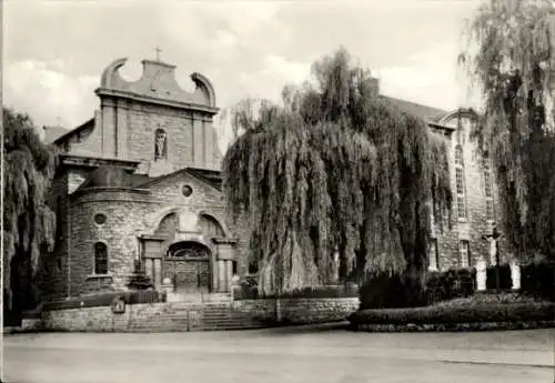 Ak Heilbad Heiligenstadt Eichsfeld Thüringen, Pfarr- und Klosterkirche St. Gerhard, Trauerweide