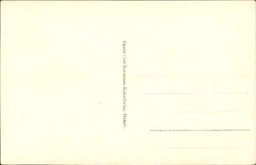 Ak Hardanger Norwegen, Panorama fra Ulvik