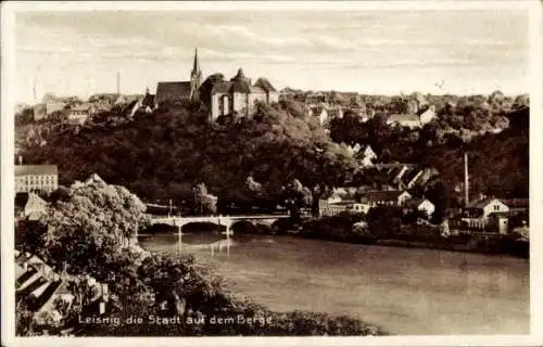 Ak Leisnig in Sachsen, Freiberger Mulde, Brücke, Stadtansicht, Kirche St. Mathhäi, Burg Mildenstein