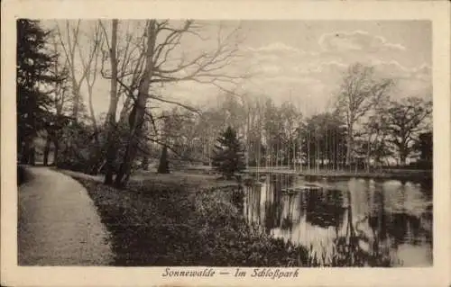 Ak Sonnewalde in der Niederlausitz, Schlosspark