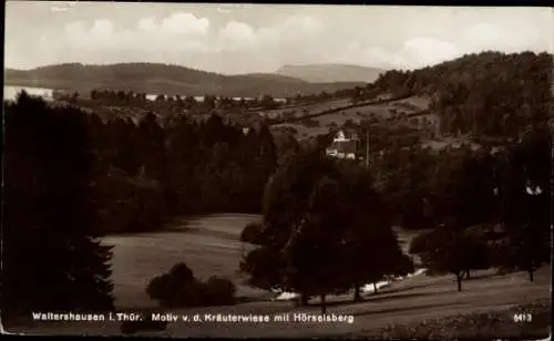 Ak Waltershausen in Thüringen, Blick von der Kräuterwiese, Hörselsberg