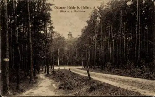 Ak Dölauer Heide Halle an der Saale, Kolkturm