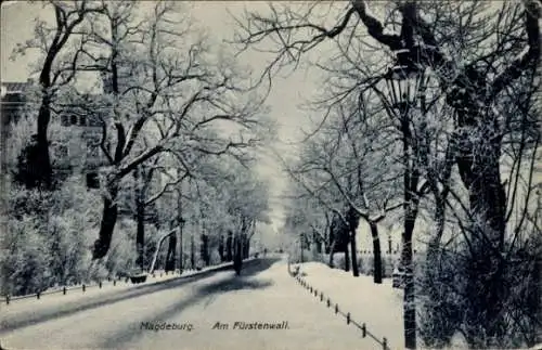 Ak Magdeburg in Sachsen Anhalt, Am Fürstenwall