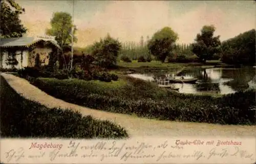 Ak Magdeburg in Sachsen Anhalt, Taube Elbe mit Bootshaus