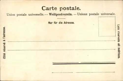 Ak Nyon Kanton Waadt, Chateau de Promenthoux