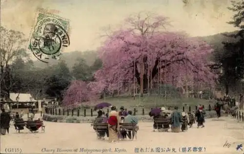 Ak Kyoto Präfektur Kyoto Japan, Cherry Blossom, Maruyama Park