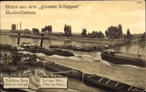 Ak Maximiliansau Wörth am Rhein, Gruß aus dem großen Schoppen, Schiffbrücke