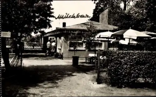 Ak Zingst an der Ostsee Darß, Milchbar