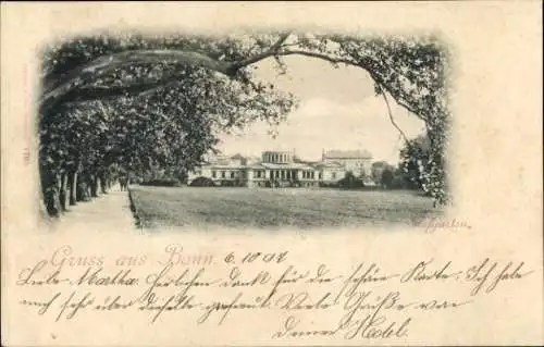 Ak Bonn am Rhein, Hofgarten