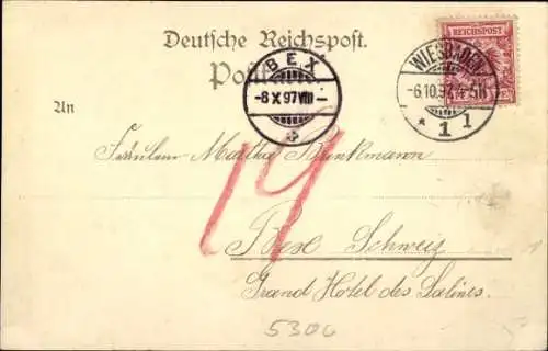 Ak Bonn am Rhein, Hofgarten