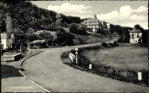 Ak Nettersheim in der Eifel, Straßenpartie