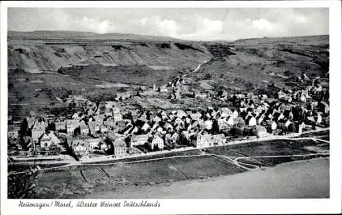 Ak Neumagen an der Mosel, Panorama