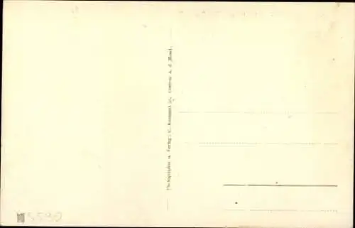 Ak Cochem a.d. Mosel, Gesamtansicht, Kaiser Wilhelm Tunnel