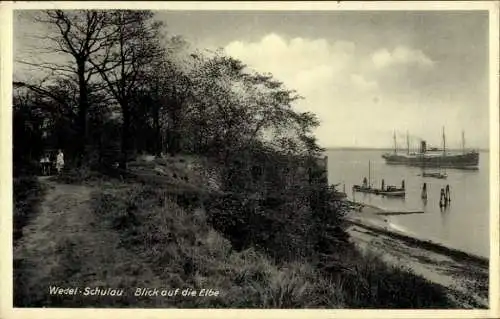 Ak Schulau Wedel in Schleswig Holstein, Blick auf die Elbe, Schiff