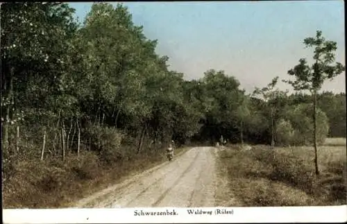 Ak Schwarzenbek in Lauenburg, Waldweg, Rülau