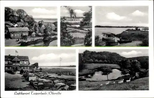 Ak Tesperhude Geesthacht an der Elbe, Teilansichten, Straßenpartie, Teich, Flussufer