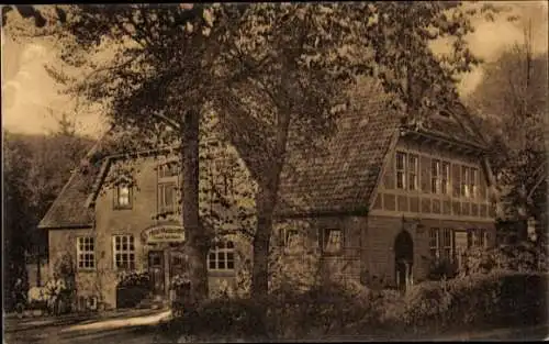 Ak Aumühle im Herzogtum Lauenburg, Hotel Waldesruh