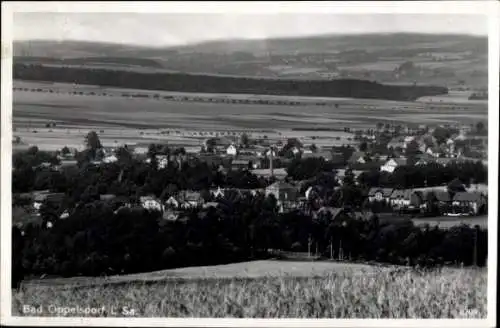 Ak Opolno Zdrój Bad Oppelsdorf Bogatynia Reichenau Schlesien, Panorama