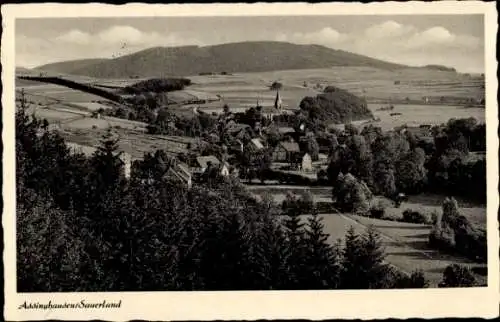 Ak Assinghausen Olsberg im Sauerland, Panorama