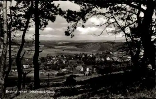 Ak Bromskirchen in Hessen, Panorama