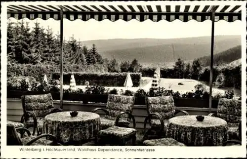 Ak Winterberg im Sauerland, Waldhaus Dependance