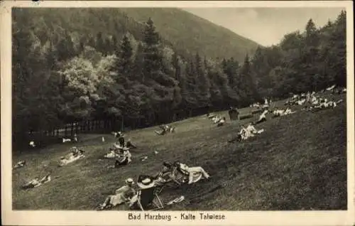 Ak Bad Harzburg am Harz, kalte Talwiese, Personen