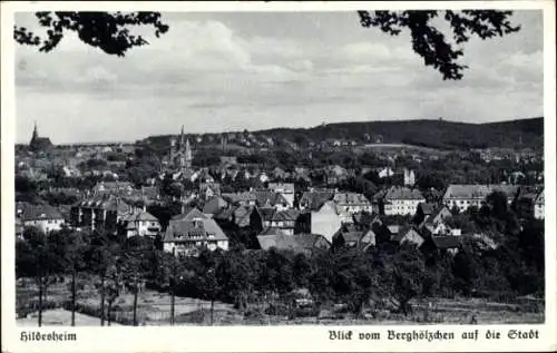 Ak Hildesheim in Niedersachsen, Blick vom Berghölzchen, Teilansicht