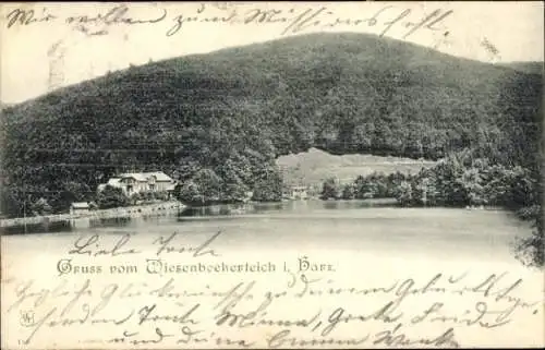 Ak Wiesenbek Bad Lauterberg im Harz, Wiesenbeker Teich