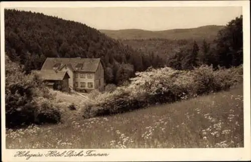 Ak Hohegeiß Braunlage im Oberharz, Hotel Dicke Tannen