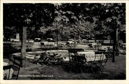 Ak Wingst in Niedersachsen, Waldschlösschen Dobrock, Terrasse, Gewässer, Schwäne