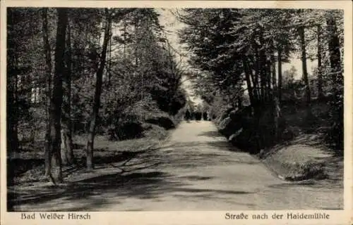 Ak Dresden Weißer Hirsch, Straße nach Haidemühle