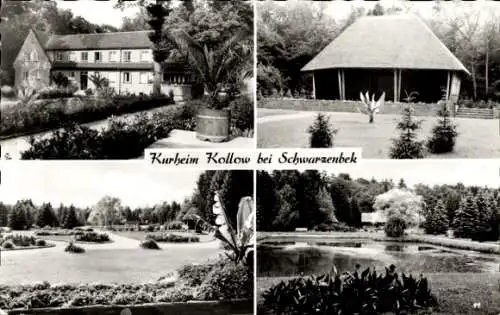 Ak Kollow in Lauenburg, Kurheim, Garten