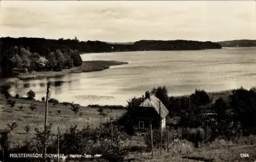 Ak Malente in Ostholstein, Kellersee