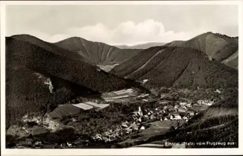 Ak Rinnthal an der Weinstraße Pfalz, Fliegeraufnahme