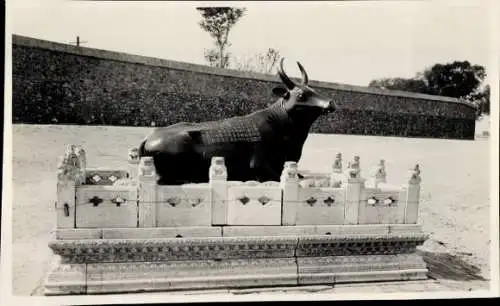 Foto Beijing Peking China, Sommerpalast, Bronze Ochse