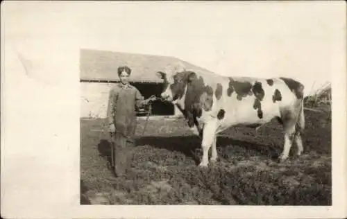 Foto Mann mit einem Rind