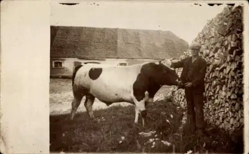 Foto Ak Mann mit einem Rind, Bauernhof