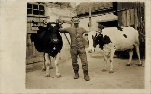 Foto Ak Deutscher Soldat mit zwei Rindern, I WK