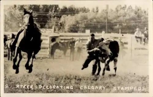 Foto Ak Calgary Alberta Kanada, Steer Decorating, Calgary Stampede