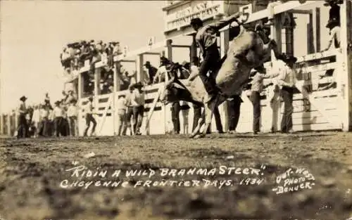 Foto Ak Cheyenne Wyoming USA, Riding w wild Brahma Steer 1934