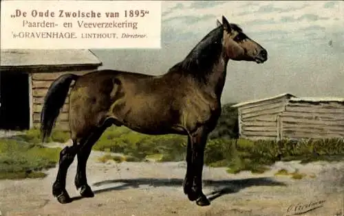 Künstler Ak Eerelman, O., Het Canadeesche paard, De Oude Zwolsche van 1895