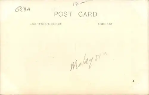 Foto Ak Malaysia, Baboon, Affe